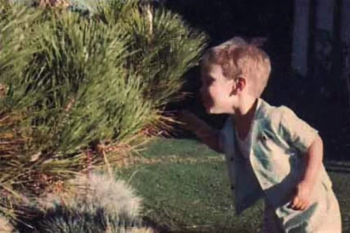 Getting a closer look at that curious tree - 1967