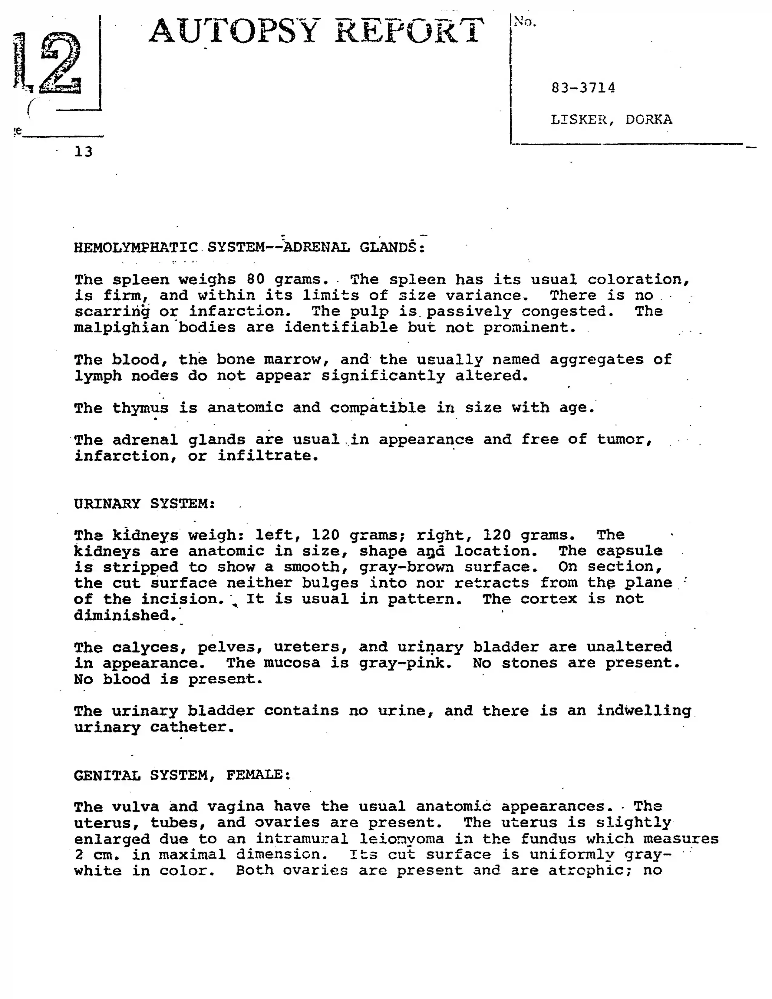 Autopsy Report, page 13
