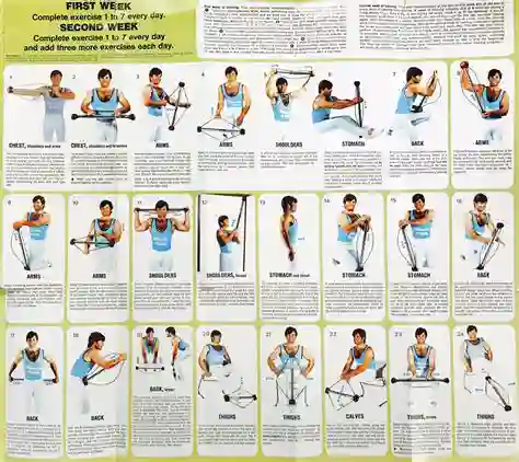 Another Bullworker exercise chart I located online. Better image quality, but not identical to the actual one we owned.