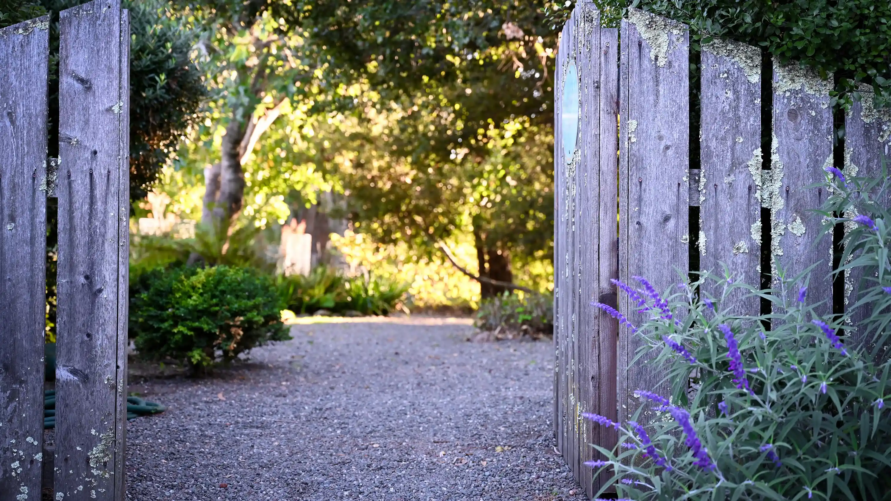Garden Gate