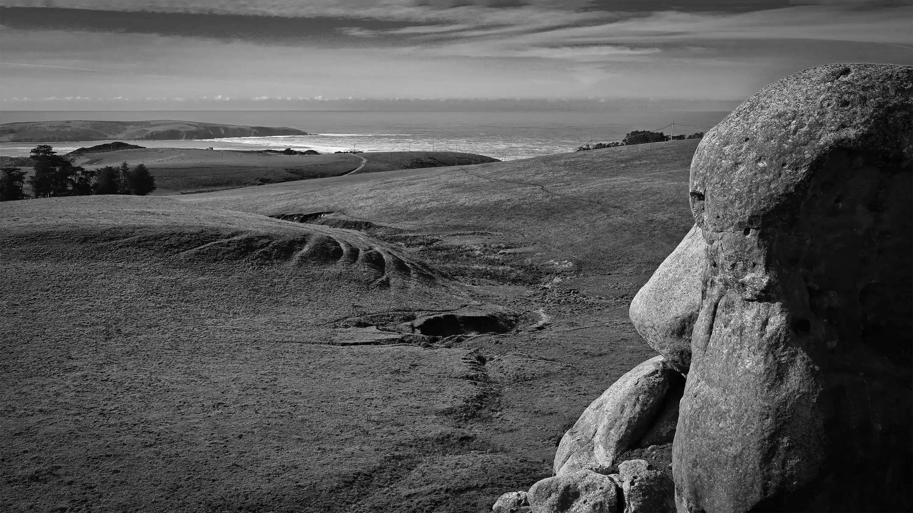 Cali Rapa Nui