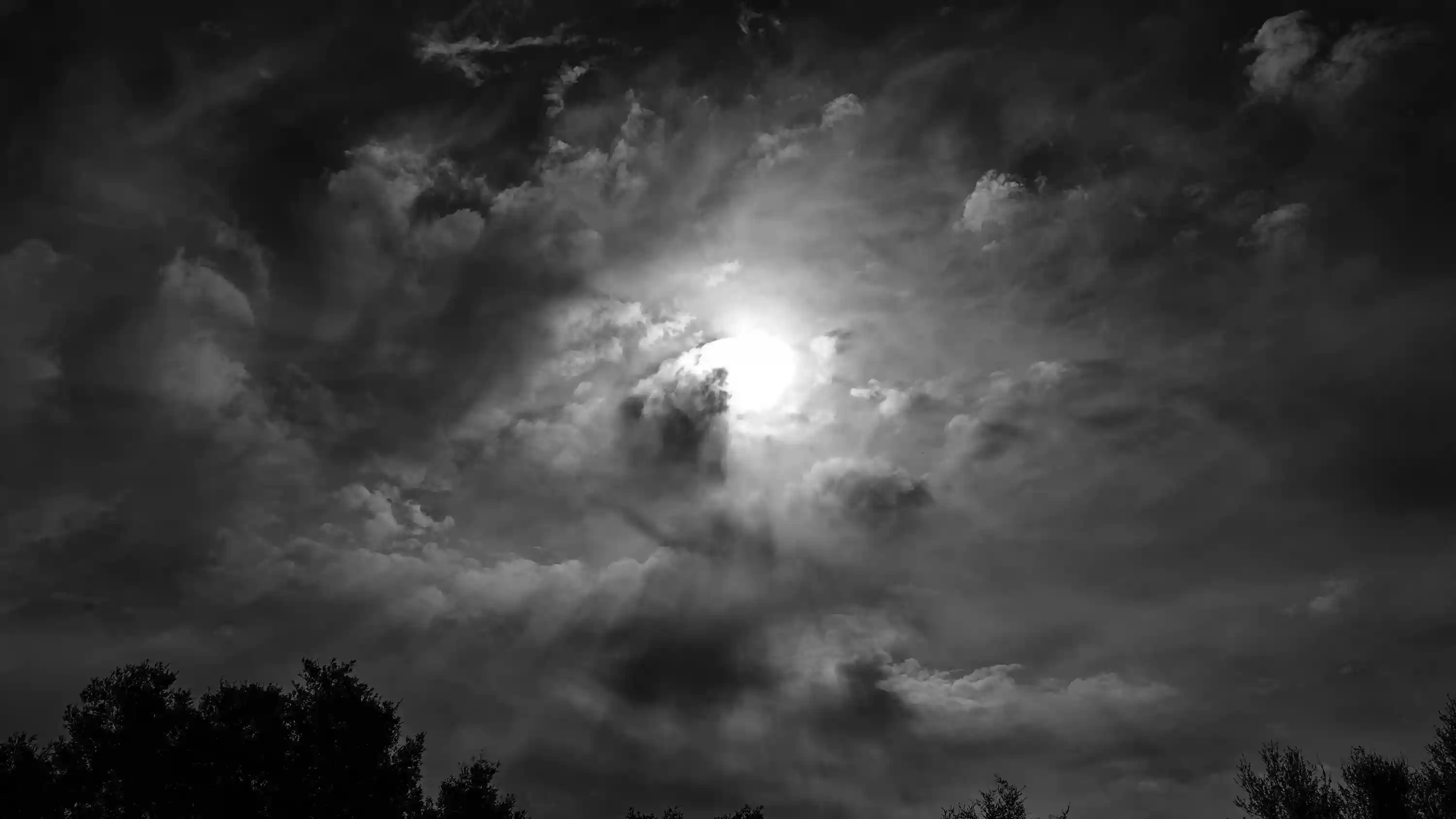 Dog Park Sky