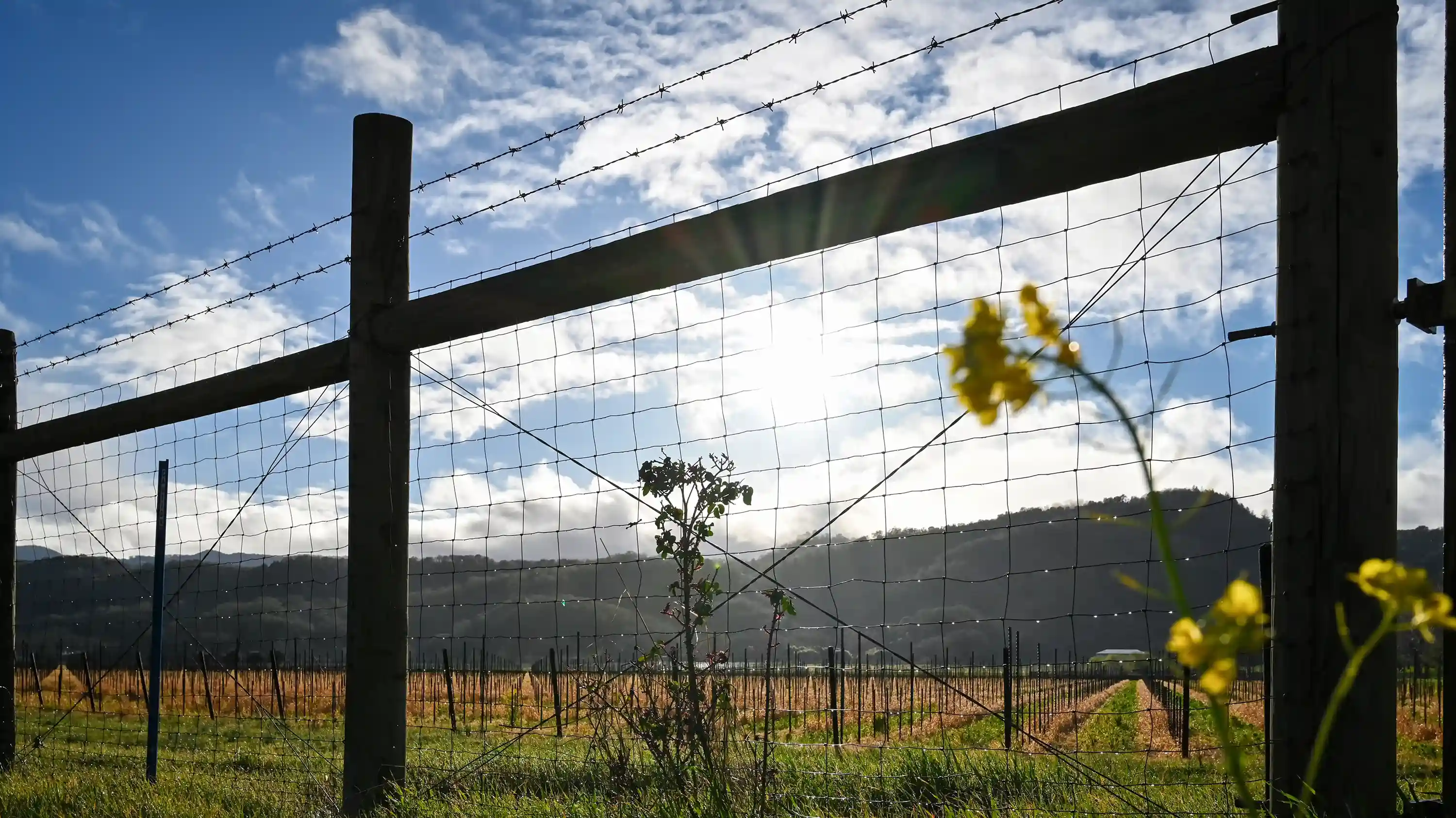 Fenceline Mendocino